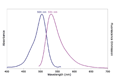 Absorbance and Fluorescence Emission